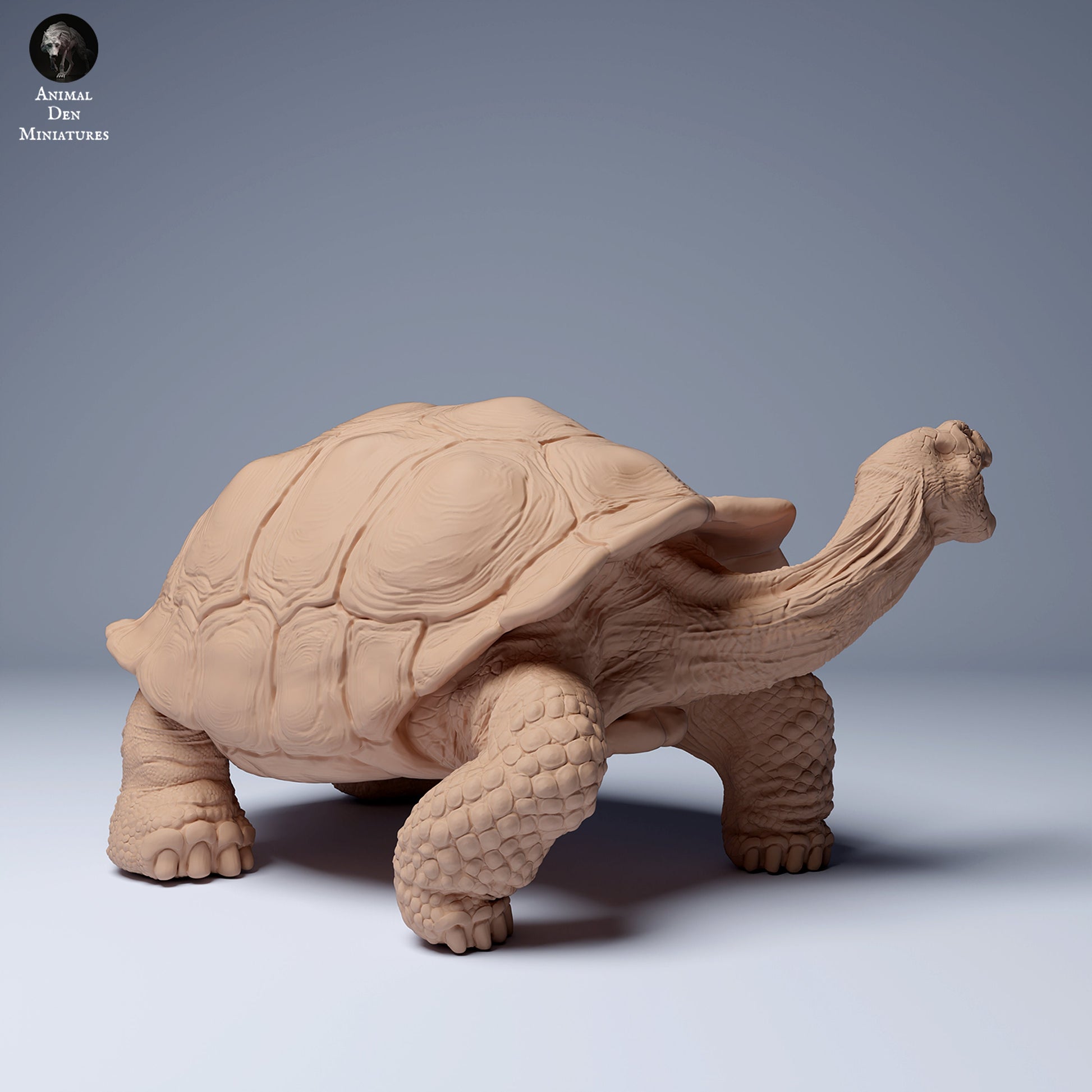 Giant Galapagos Tortoise 1:16 scale by Animal Den Miniatures | Please Read Description | Print on Demand