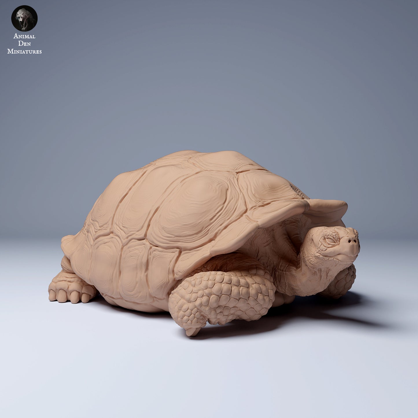 Giant Galapagos Tortoise 1:16 scale by Animal Den Miniatures | Please Read Description | Print on Demand