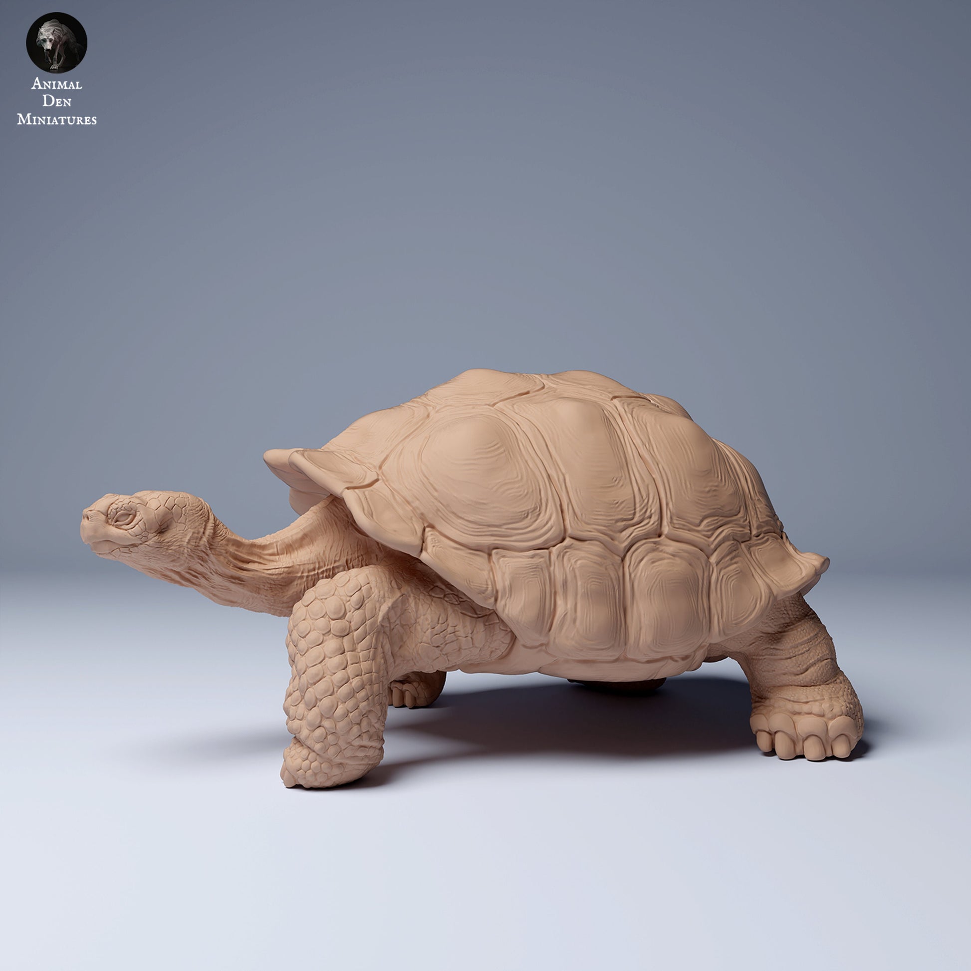 Giant Galapagos Tortoise 1:16 scale by Animal Den Miniatures | Please Read Description | Print on Demand