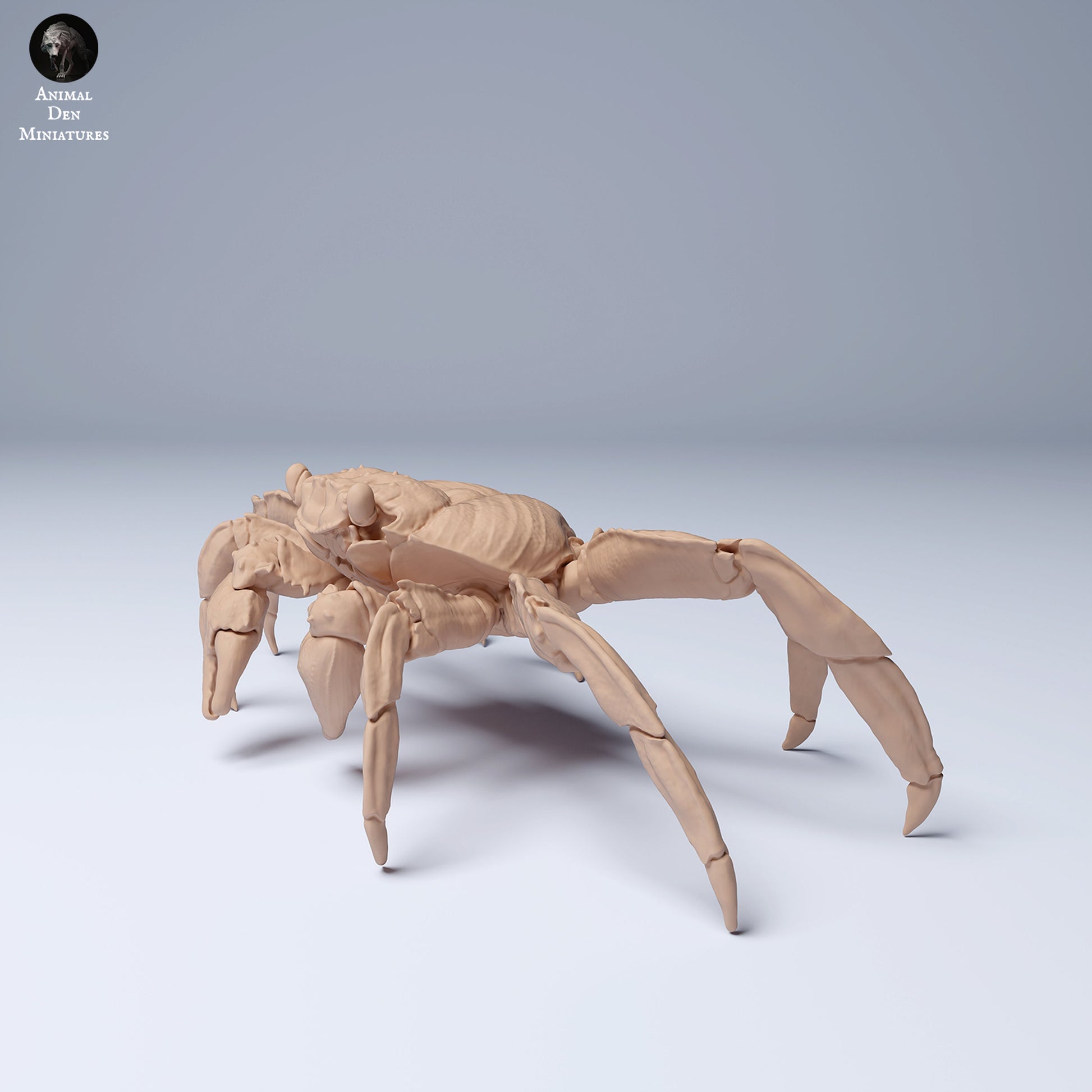 Sally Lightfoot Crab 1:4 scale by Animal Den Miniatures | Please Read Description | Print on Demand