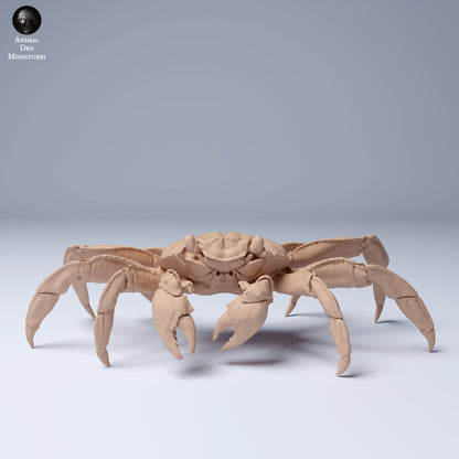 Sally Lightfoot Crab 1:4 scale by Animal Den Miniatures | Please Read Description | Print on Demand