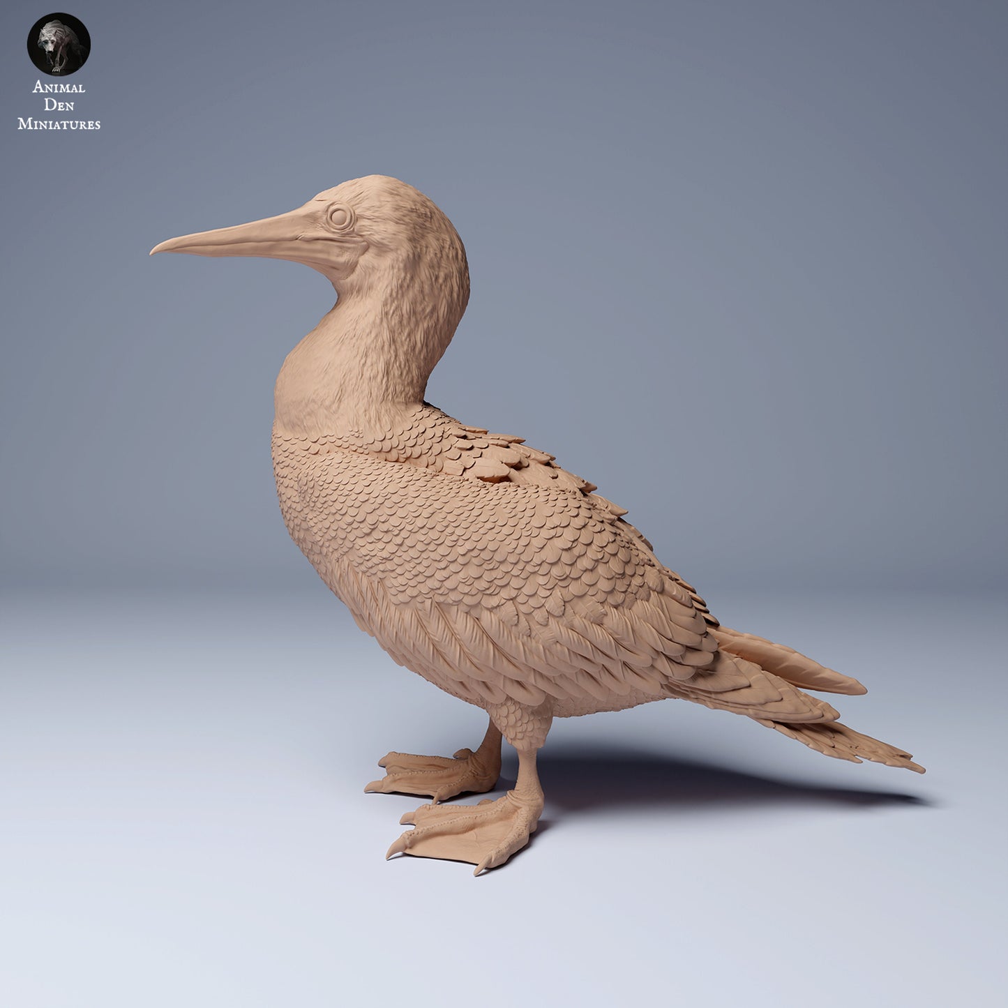 Blue Footed Booby 1:16 scale by Animal Den Miniatures | Please Read Description | Print on Demand