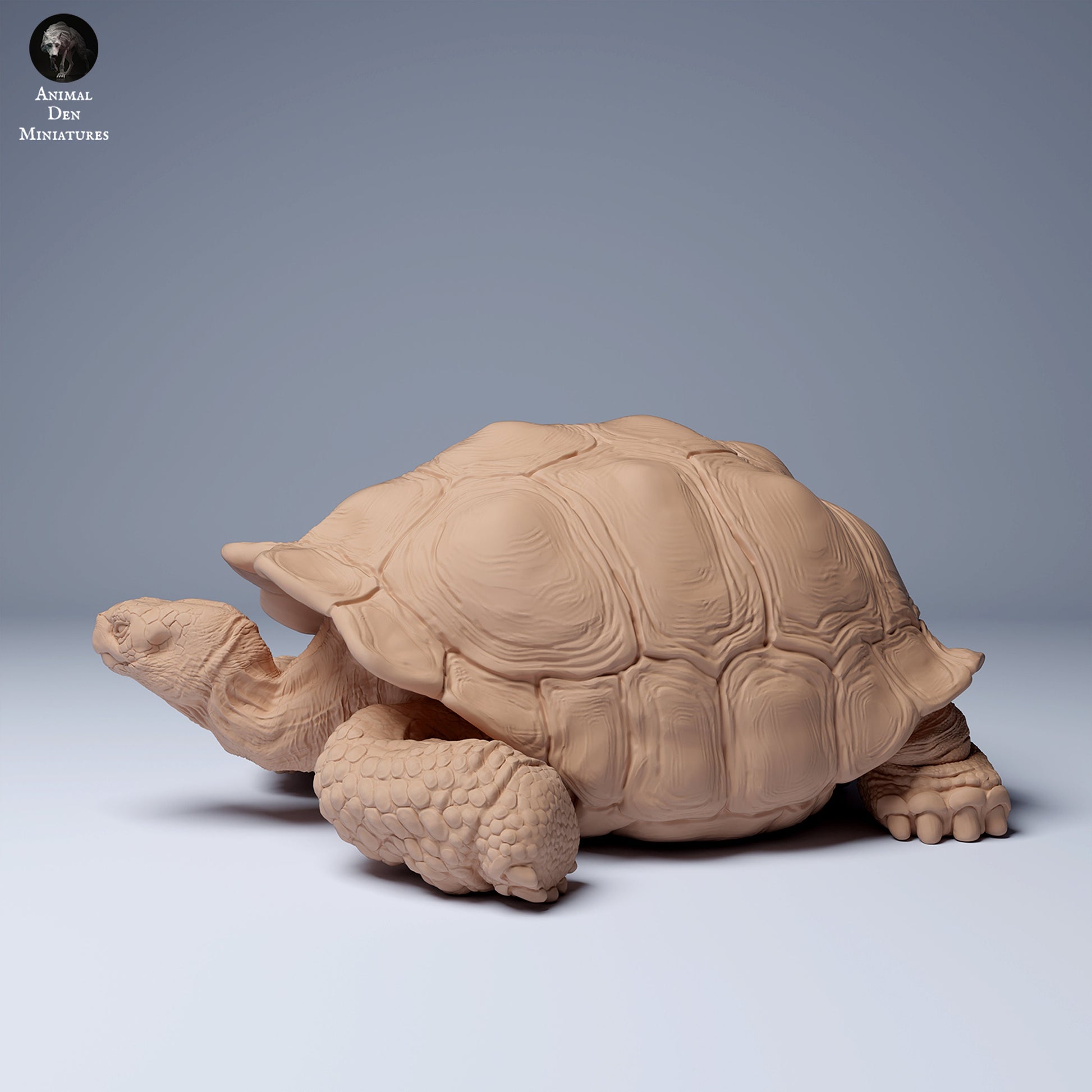 Giant Galapagos Tortoise 1:16 scale by Animal Den Miniatures | Please Read Description | Print on Demand