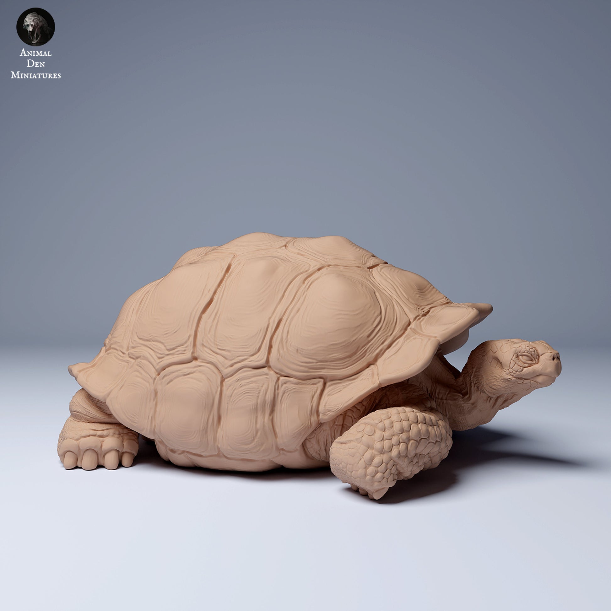 Giant Galapagos Tortoise 1:16 scale by Animal Den Miniatures | Please Read Description | Print on Demand