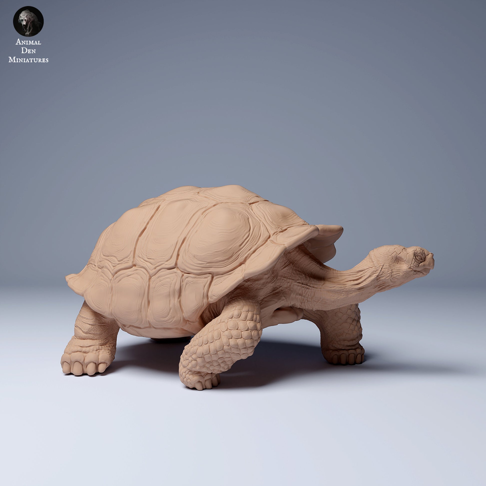 Giant Galapagos Tortoise 1:16 scale by Animal Den Miniatures | Please Read Description | Print on Demand