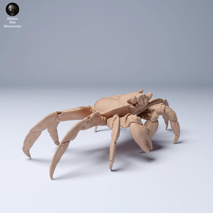 Sally Lightfoot Crab 1:4 scale by Animal Den Miniatures | Please Read Description | Print on Demand