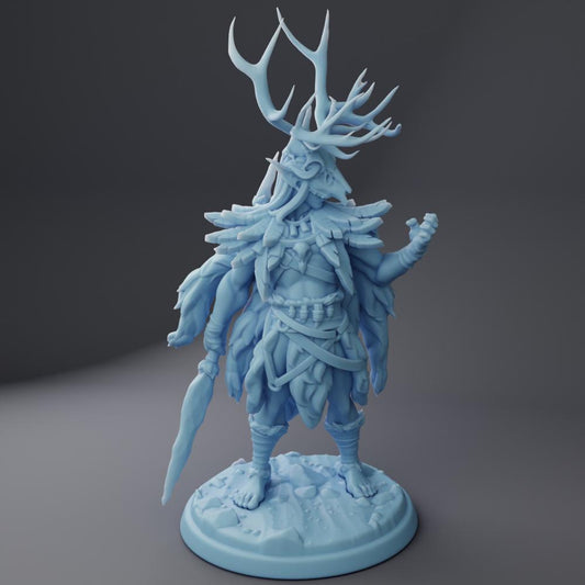 Fara-Isil, Ancient Elf Druid by Twin Goddess Minis | Please Read Description | Print on Demand