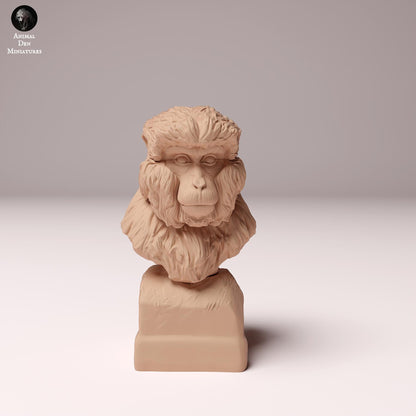 Japanese Macaque 1/8 & 1/4 scale by Animal Den Miniatures | Please Read Description | Print on Demand