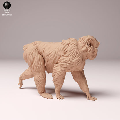 Japanese Macaque 1/8 & 1/4 scale by Animal Den Miniatures | Please Read Description | Print on Demand