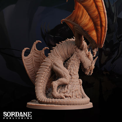 Dracotera by Sordane Publishing | Please Read Description | Print on Demand