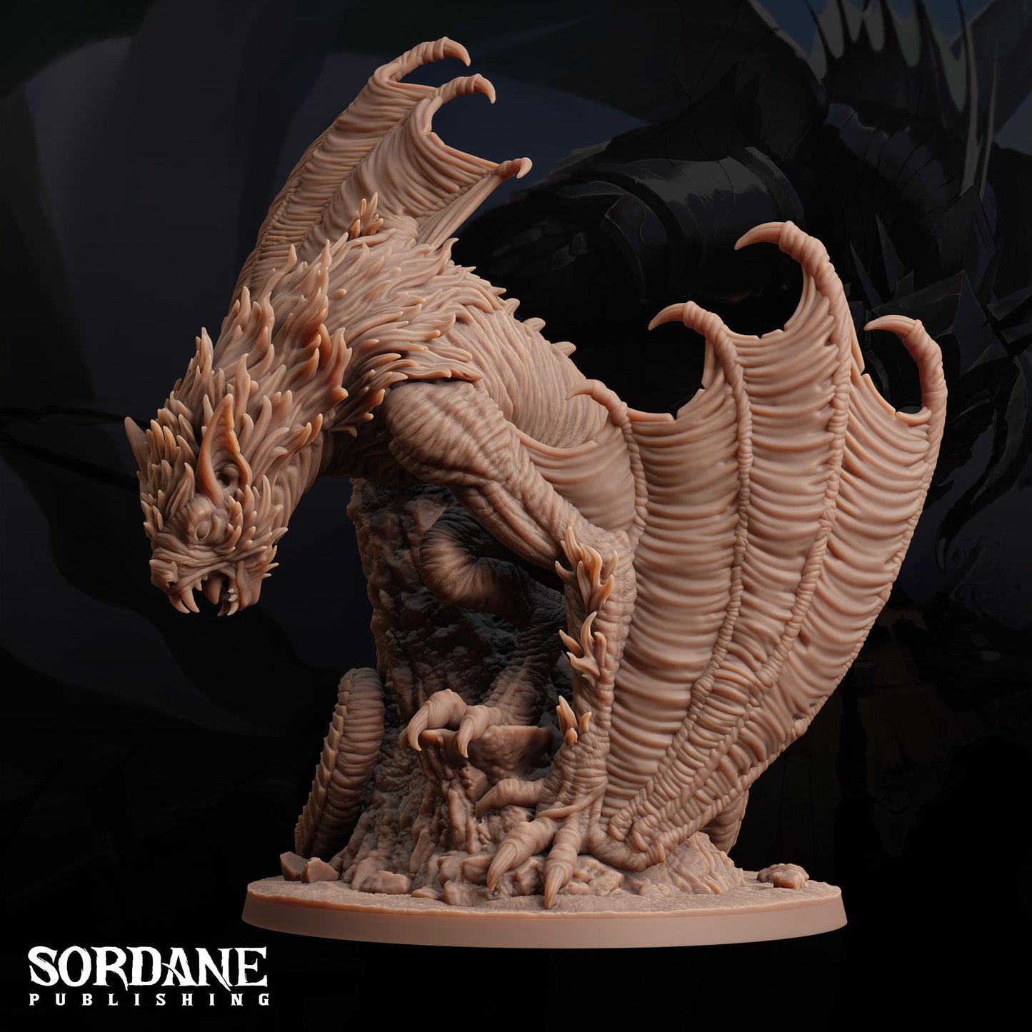 Dracotera by Sordane Publishing | Please Read Description | Print on Demand