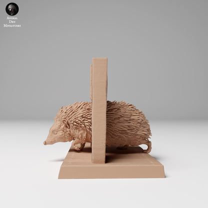 European Hedgehog 1:4 scale by Animal Den | Please Read Description | Print on Demand