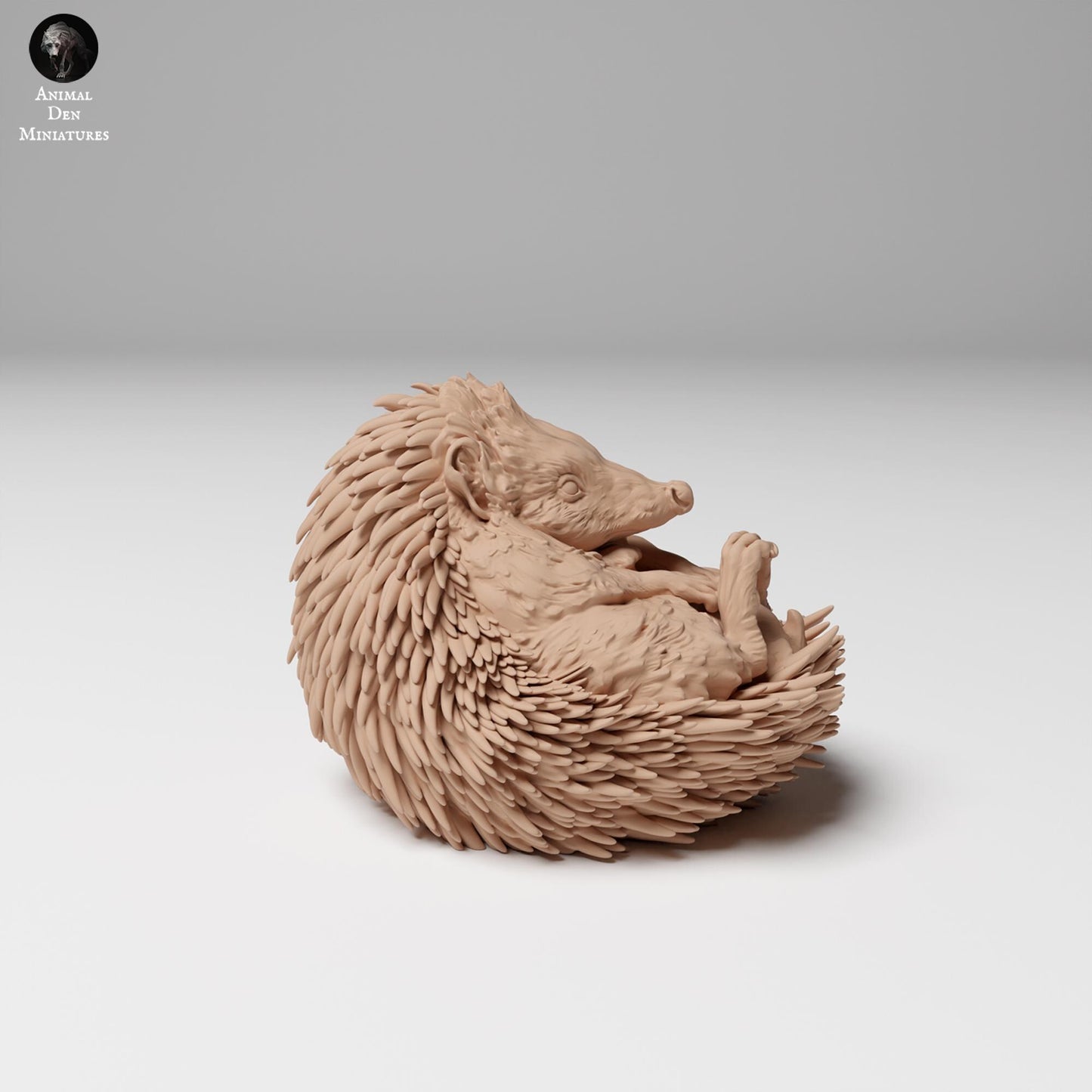 European Hedgehog 1:4 scale by Animal Den | Please Read Description | Print on Demand