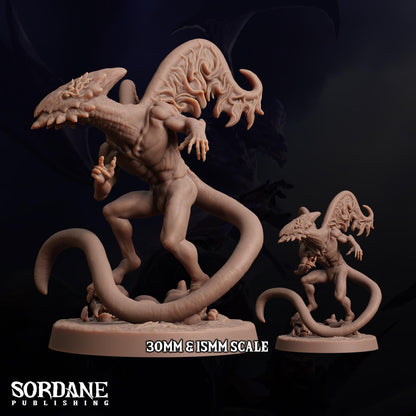 Planeshift Veilclaw by Sordane Publishing | Please Read Description | Print on Demand