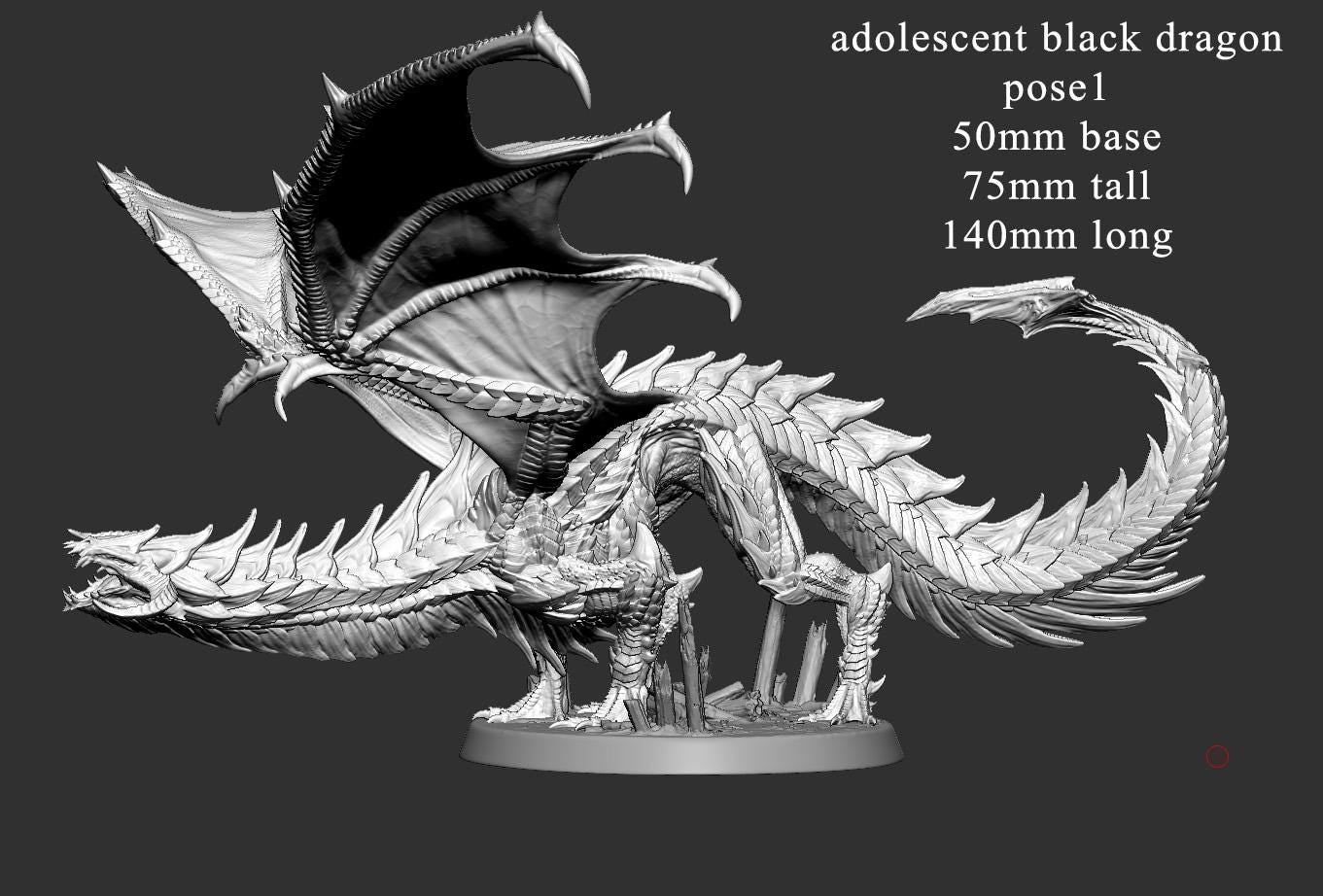 Young Black Dragon by Mini Monster Mayhem | Please Read Description | Print on Demand