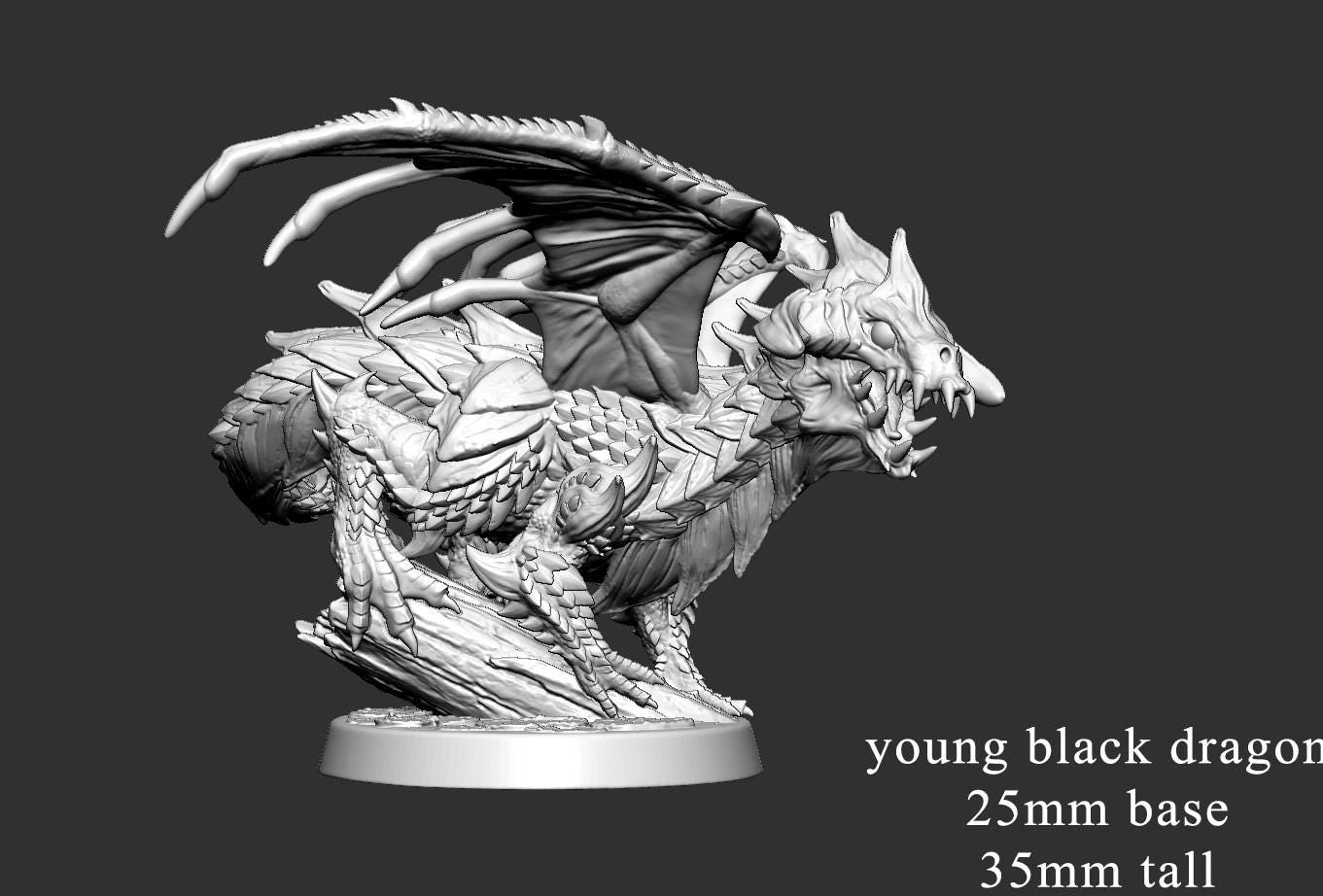 Black Dragon Wyrmling by Mini Monster Mayhem | Please Read Description | Print on Demand