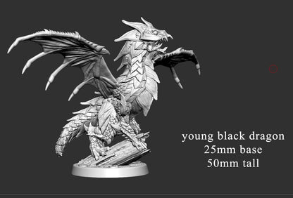 Black Dragon Wyrmling by Mini Monster Mayhem | Please Read Description | Print on Demand