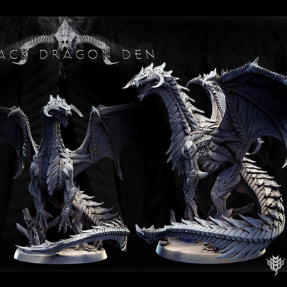 Young Black Dragon by Mini Monster Mayhem | Please Read Description | Print on Demand