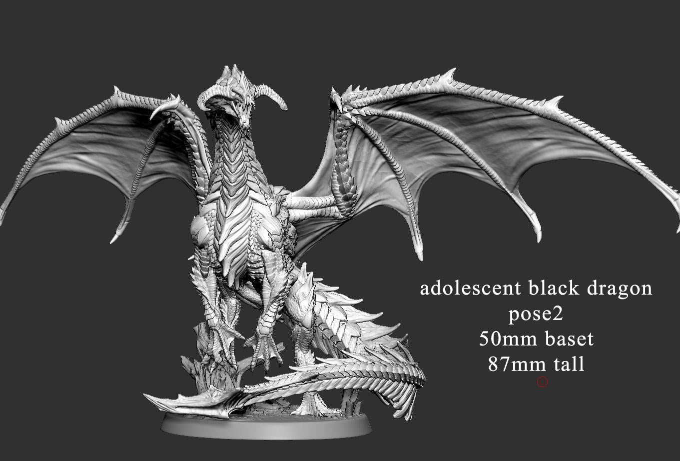 Young Black Dragon by Mini Monster Mayhem | Please Read Description | Print on Demand