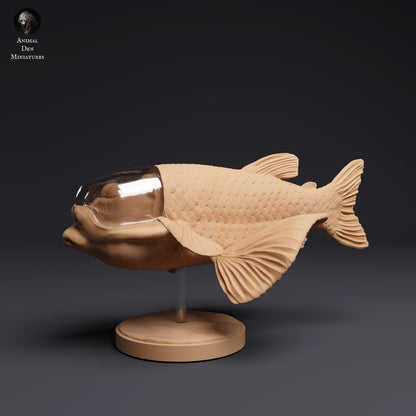 Barreleye Fish 1:1 scale by Animal Den | Unpainted | Print on Demand | Use Code FREESHIP50