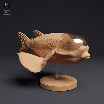 Barreleye Fish 1:1 scale by Animal Den | Unpainted | Print on Demand | Use Code FREESHIP50
