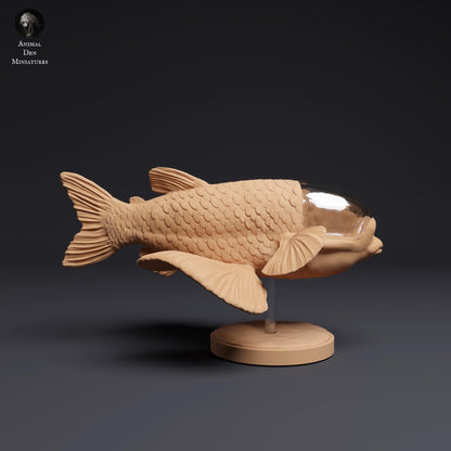 Barreleye Fish 1:1 scale by Animal Den | Unpainted | Print on Demand | Use Code FREESHIP50
