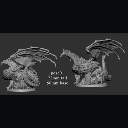 Young White Dragon by Mini Monster Mayhem | Unpainted | Print on Demand | Use Code FREESHIP50