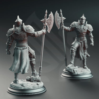 Ser Claudis, Knight of the Tower by DM Stash | Unpainted | Print on Demand | Use Code FREESHIP50