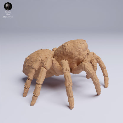 Jumping Spider 6:1 scale by Animal Den | Unpainted | Print on Demand | Use Code FREESHIP50