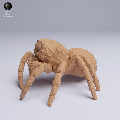 Jumping Spider 6:1 scale by Animal Den | Unpainted | Print on Demand | Use Code FREESHIP50