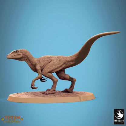 Jurassic Velociraptor, Wild by Rescale Miniatures | Unpainted | Print on Demand | Use Code FREESHIP50