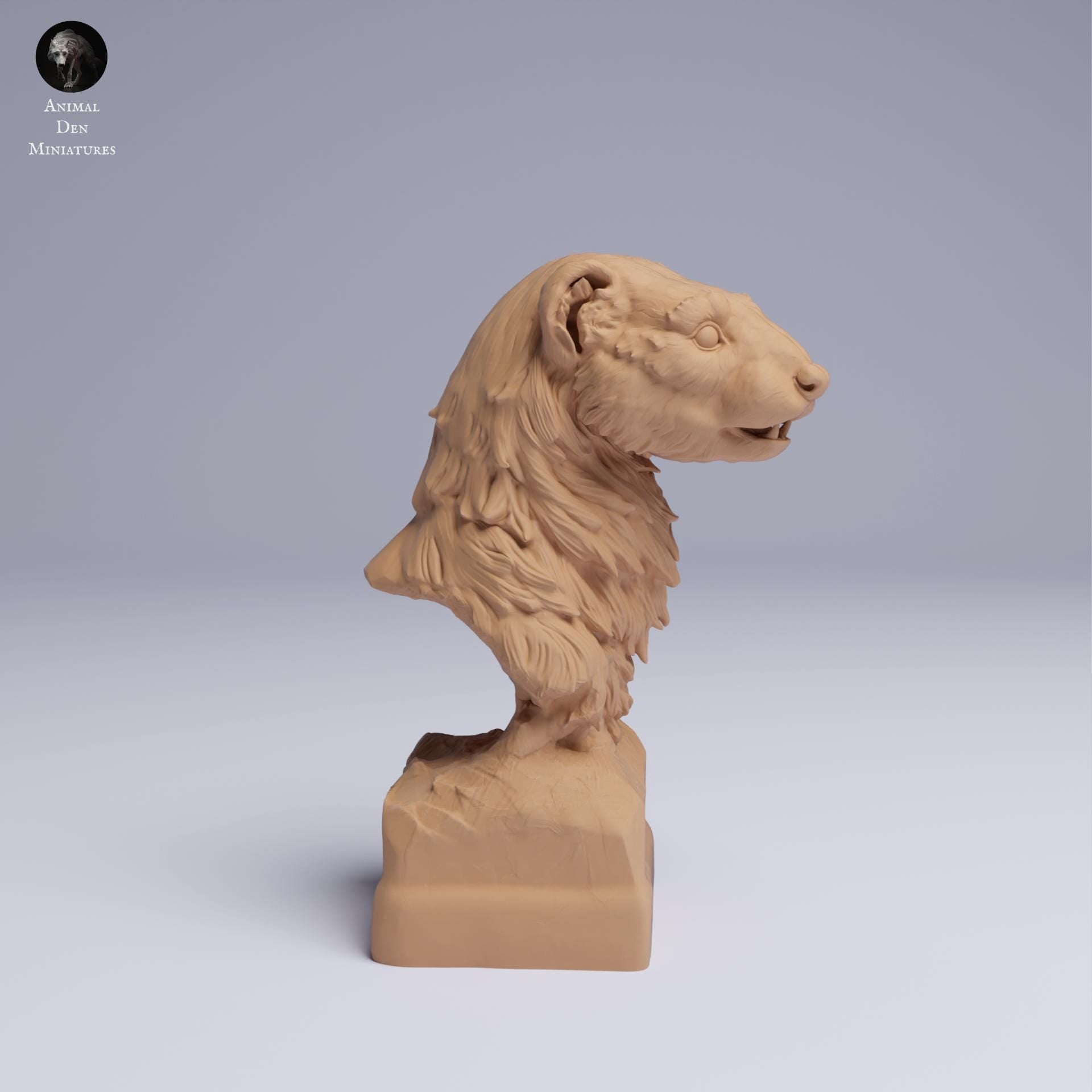 European Polecat Bust 1:2 scale by Animal Den | Unpainted | Print on Demand | Use Code FREESHIP50