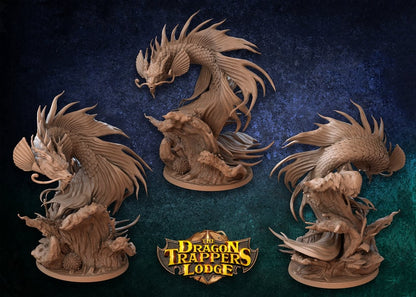 Koi Dragon by Dragon Trappers Lodge