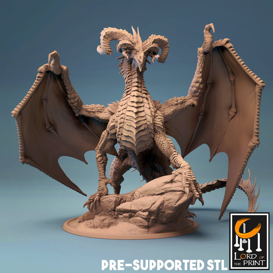 Black Dragon (PF) by Rescale Miniatures | Please Read Description | Print on Demand