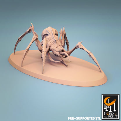 Pestilent Spider by Lord of the Print