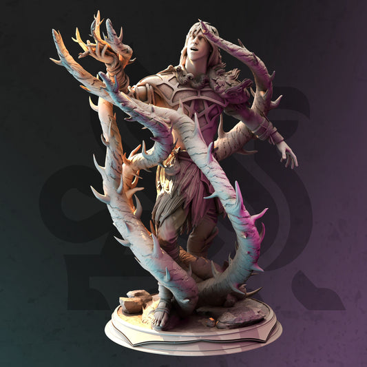 Toraxid Drenth, Swamp Druid by DM Stash