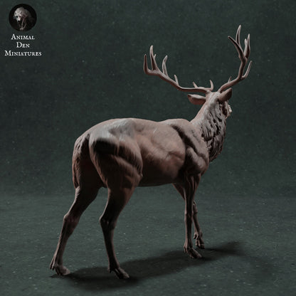 Red Deer 1:24 Scale Model by Animal Den