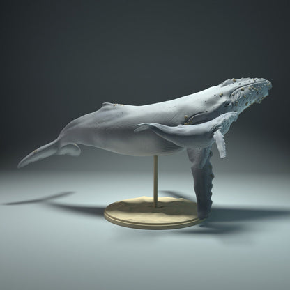 Humpback Whale 1:100 Scale Model by Animal Den