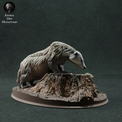 European Badger 1:16 Scale Model by Animal Den