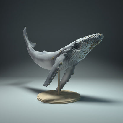 Humpback Whale 1:100 Scale Model by Animal Den