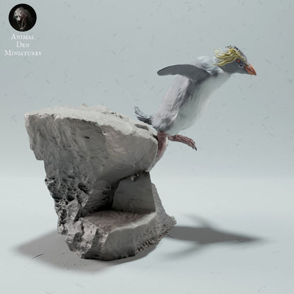 Rockhopper Penguin 1:6 Scale Model by Animal Den | Please Read Description