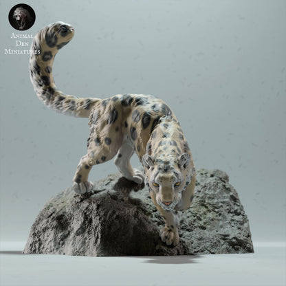 Snow Leopard 1:24 Scale Model by Animal Den | Please Read Description