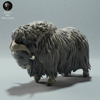 Musk Ox 1:24 Scale Model by Animal Den Miniatures | Please Read Description