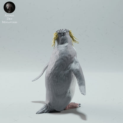 Rockhopper Penguin 1:6 Scale Model by Animal Den | Please Read Description