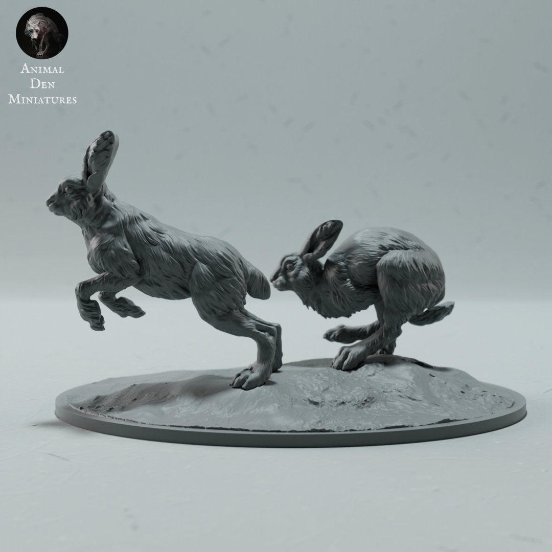 Artic Hare 1:16 Scale Model by Animal Den Miniatures | Please Read Description