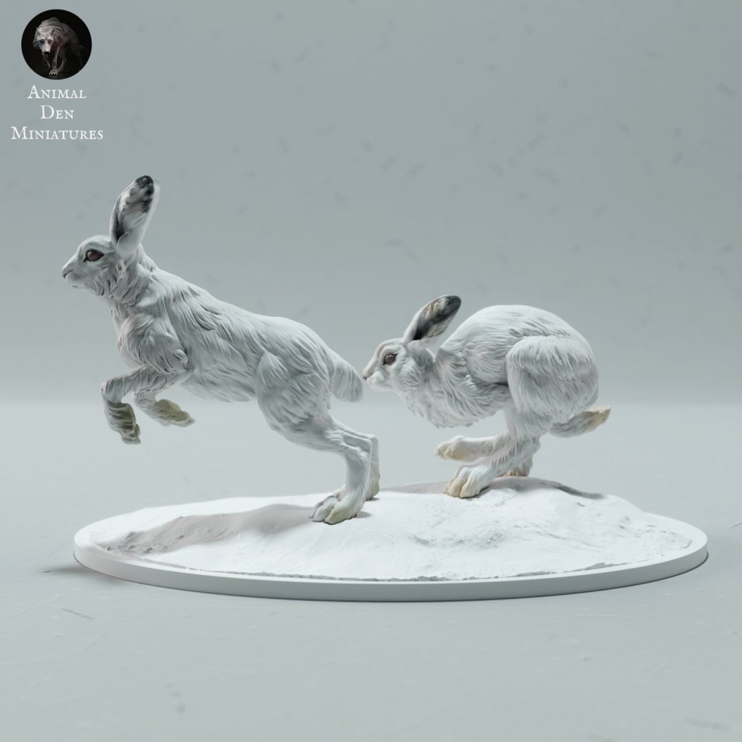 Artic Hare 1:16 Scale Model by Animal Den Miniatures | Please Read Description