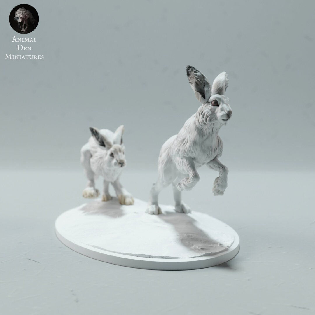 Artic Hare 1:16 Scale Model by Animal Den Miniatures | Please Read Description