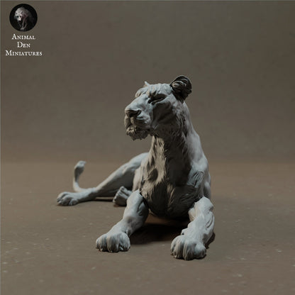 Lions 1:24 Scale by Animal Den Miniatures | Please Read Description