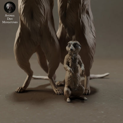 Meerkat Family 1:9 Scale by Animal Den | Please Read Description