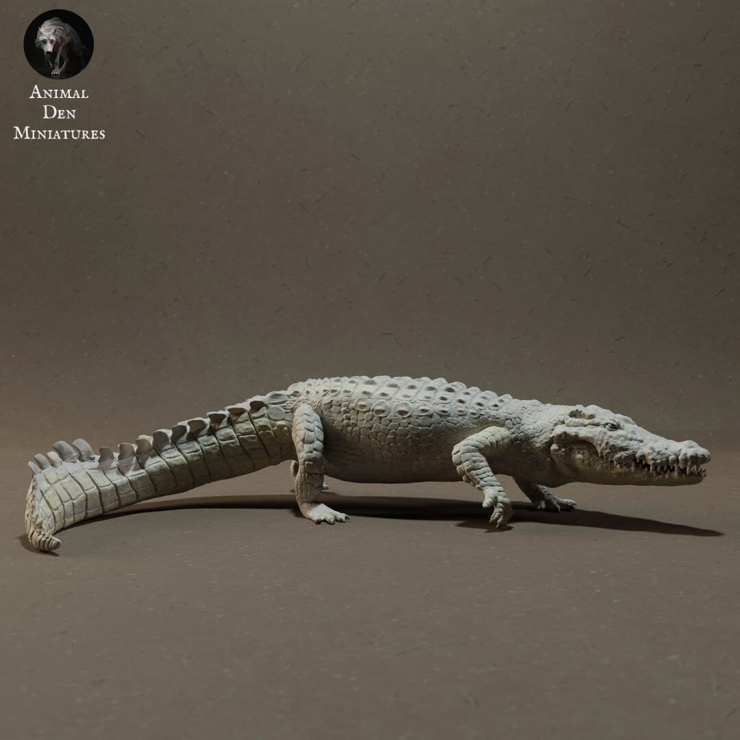 Nile Crocodile 1:24 Scale by Animal Den | Please Read Description